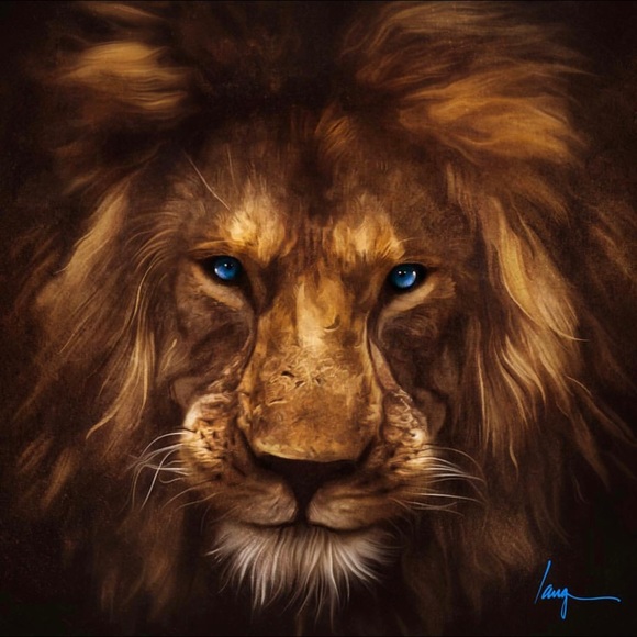 Meet your Posher, Steven - Picture 1 of 1